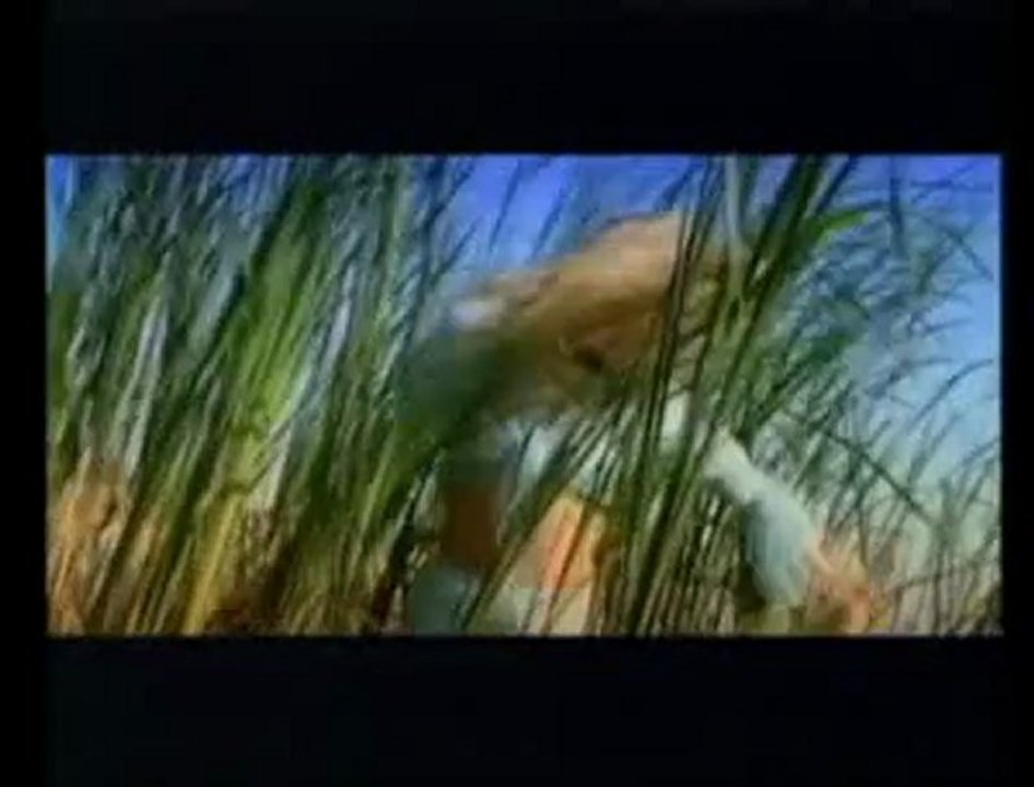 - Boban Zdravkovic - Ne Dolazi