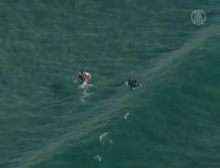Un Australien survit à une attaque de requin