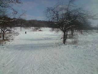 bob sinclar new new new quelque photos hiver sky