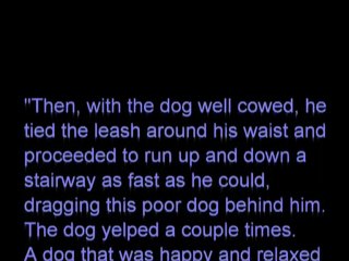 Brad Pattison Client & Viewer Testimonials - 1