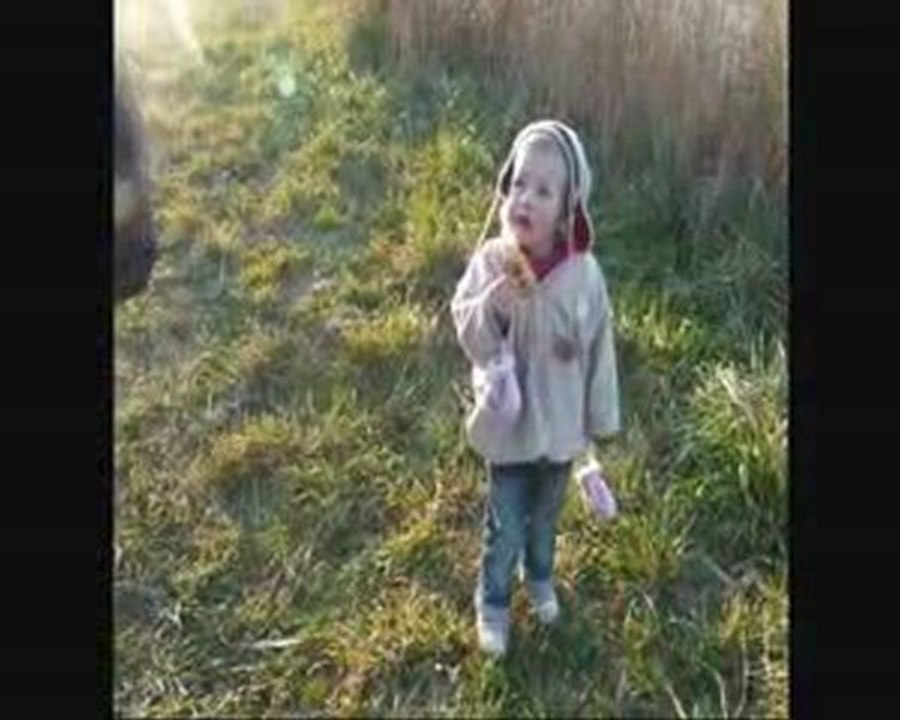 Michelle et les chevals