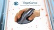 Ergo Carpal - Vertical Ergonomic Mouse Keyboard Wrist Rest