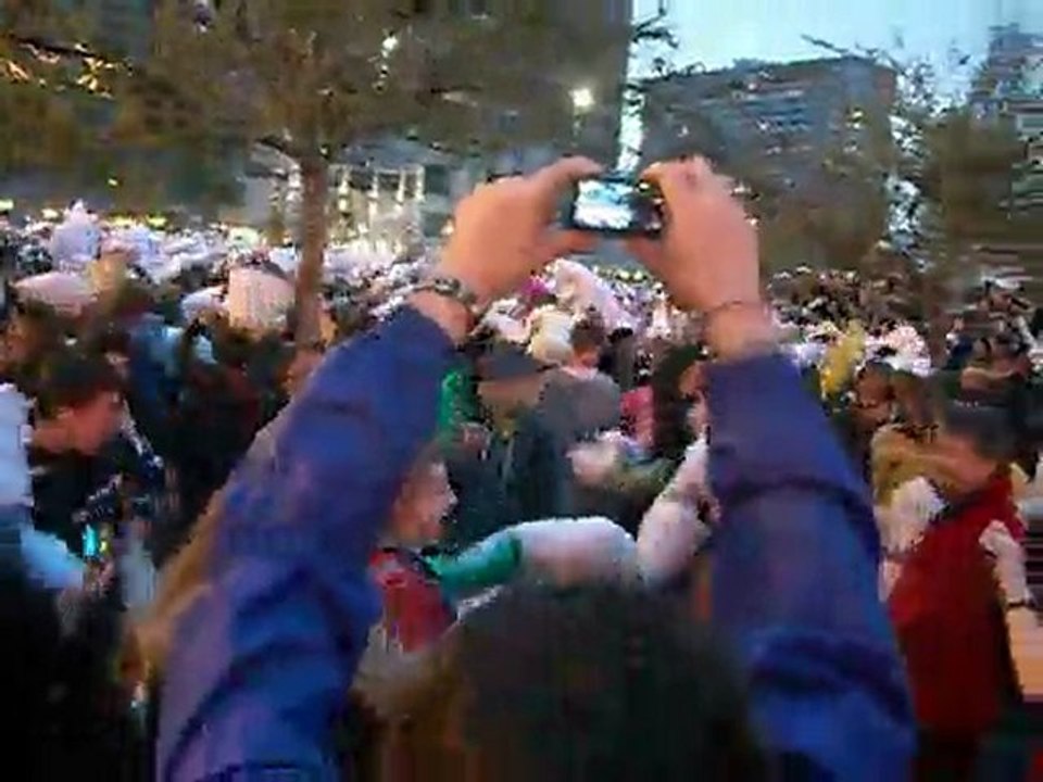 pillow fight San Francisco 2010