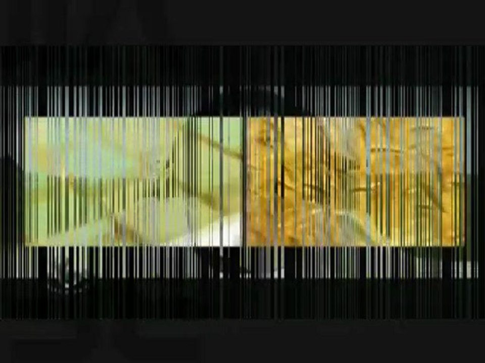 Schnelldurchlauf FE 2010 Stockholm Finale