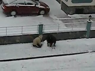 Bandırma - MHP - Kar a (2)