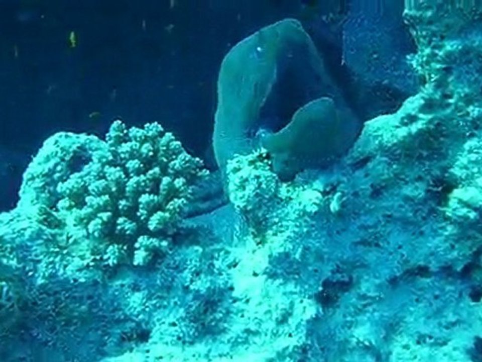 P1000865