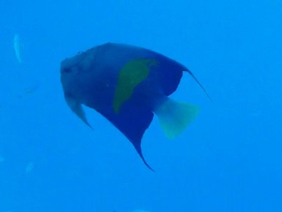P1000904