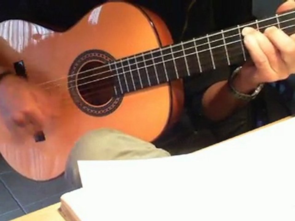 Je te survivrai (version Flamenca) mdrrr