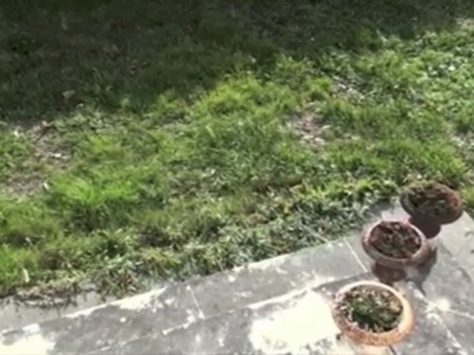 Gilles Vallé (grand) - copie