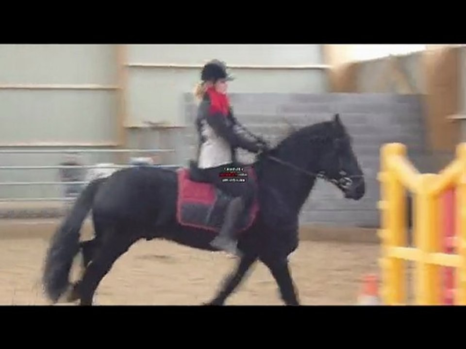 vaan galop