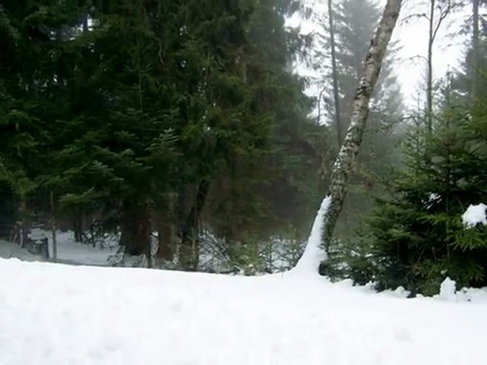 Couleurs d'Hiver