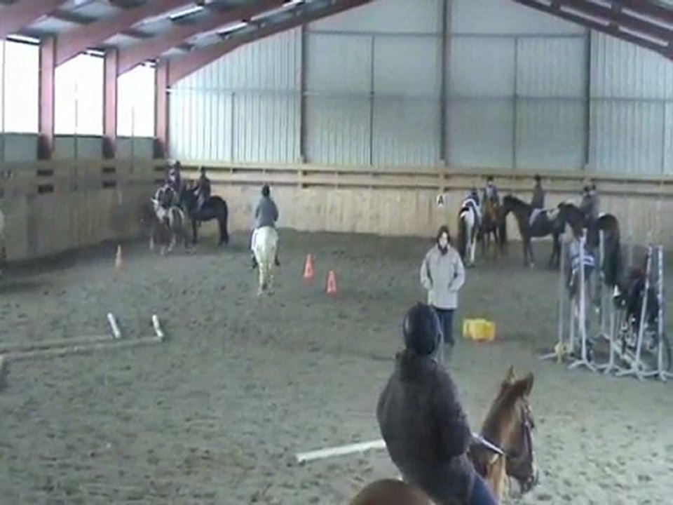 STAGE EQUITATION ETHOLOGIQUE