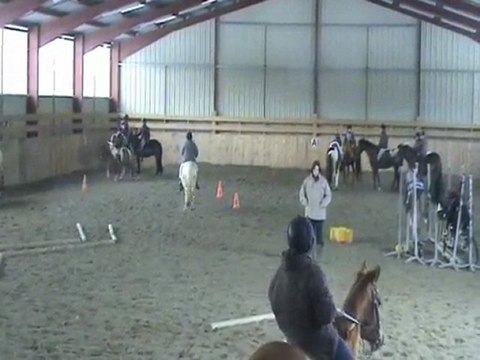 STAGE EQUITATION ETHOLOGIQUE