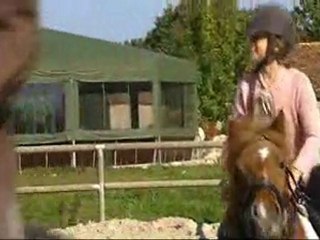 Découvrez le Manoir du Lys : hôtel**** en Normandie