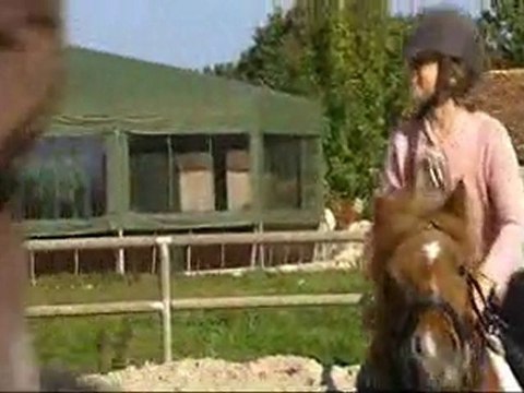 Découvrez le Manoir du Lys : hôtel**** en Normandie