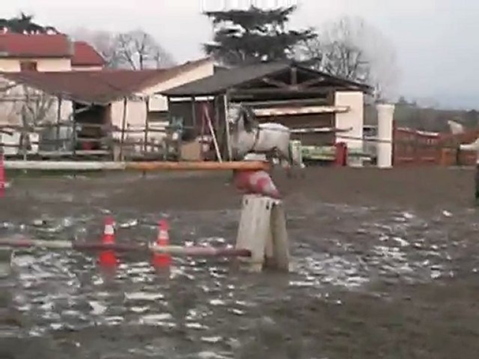 playboy obstacle en longe (12)