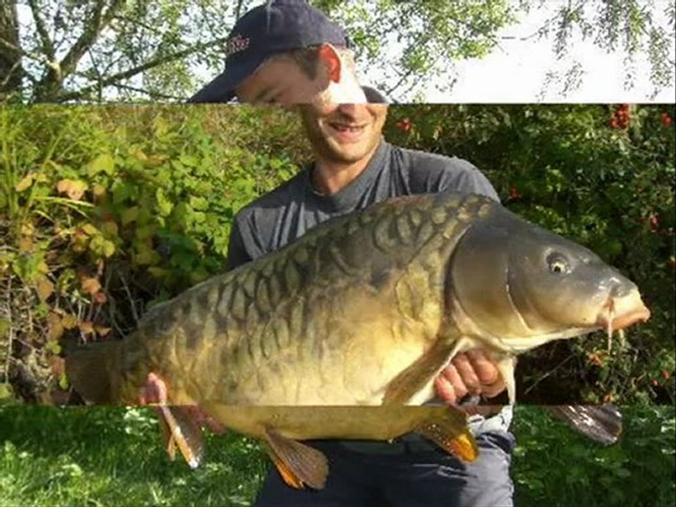 Compilation photos carpe -saison 2009