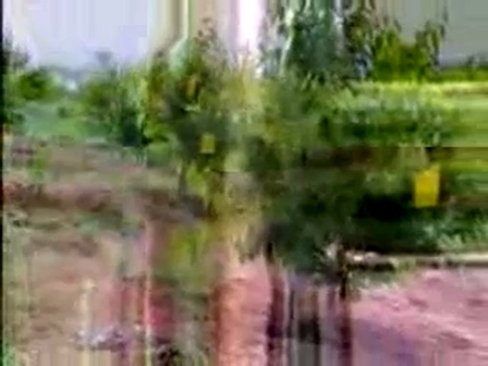 İyi Tarım Uygulamaları Filmi