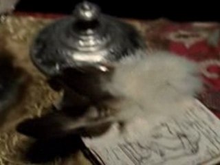 Sherlock Holmes et Rituel Satanique