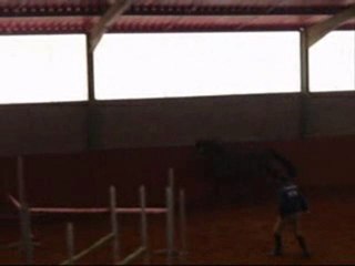 saut en liberté suspens