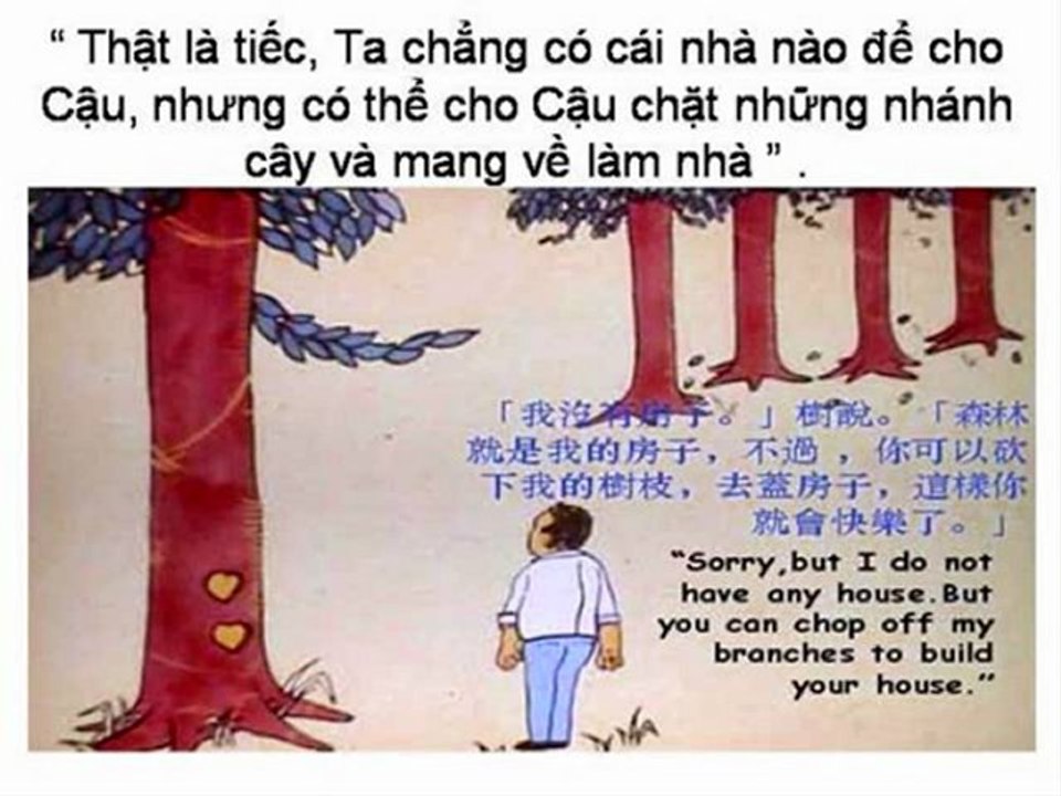 The Boy & The Apple Tree