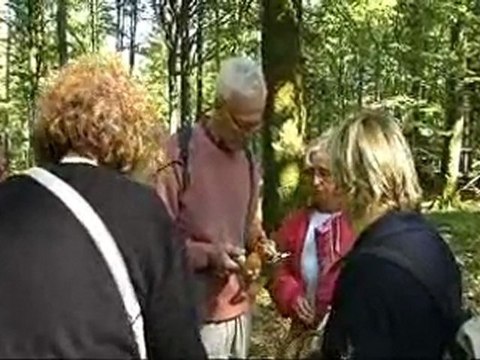 Détente pendant votre séjour au Manoir du Lys en Normandie