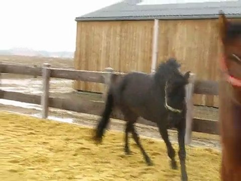 Ulys et basile piste