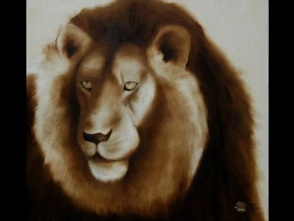 Un nouveau site pour Franck Maës