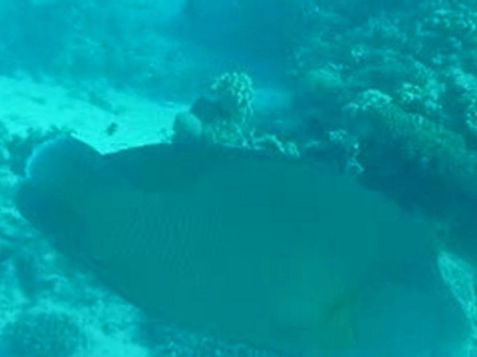 P1000991