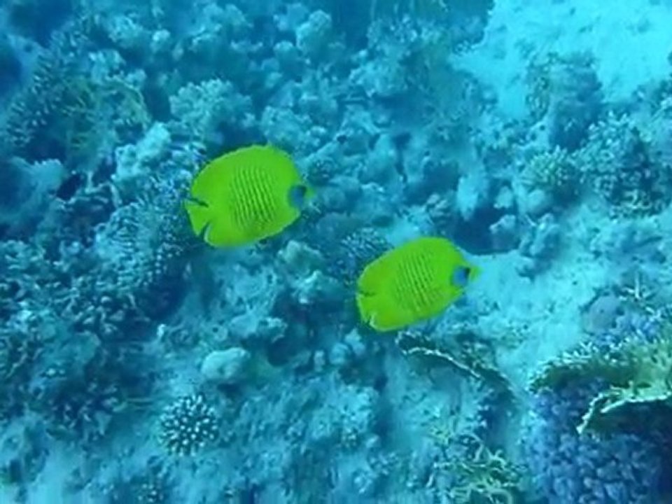 P1010099