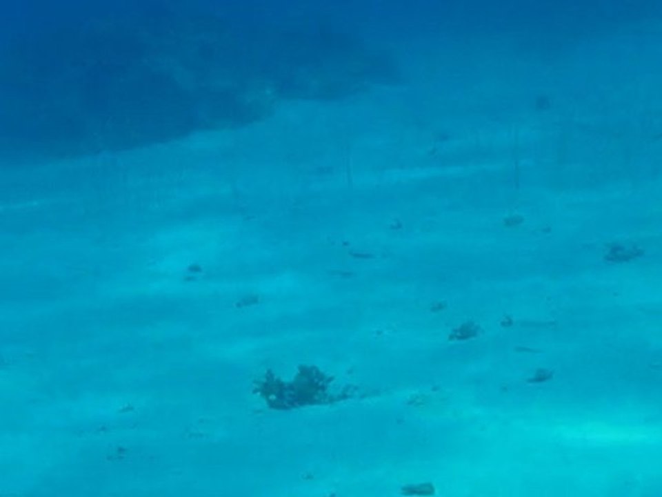 P1010223
