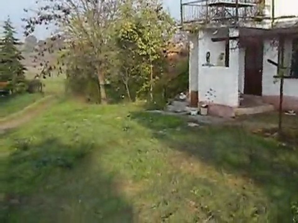 Farm- Çiflik
