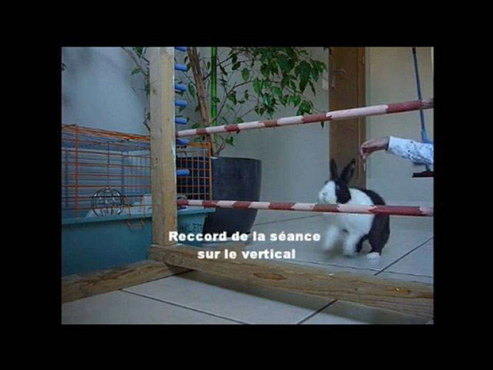 Starlette ♥