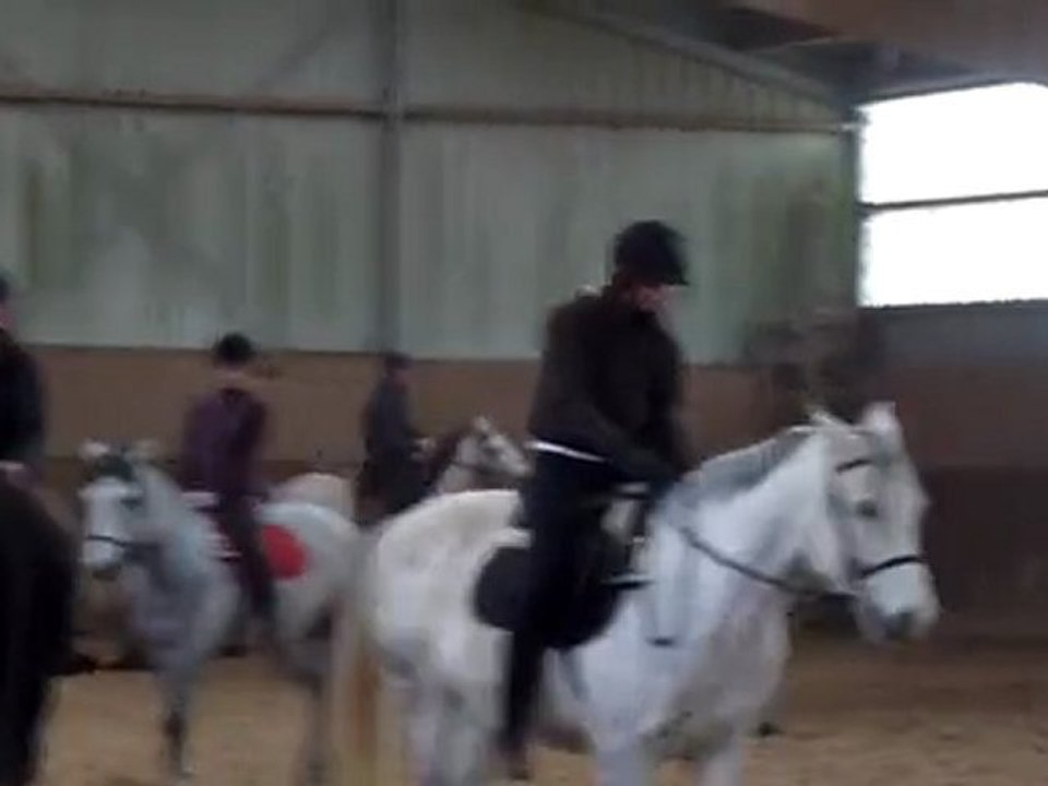 Alexis & Queiro au Galop.