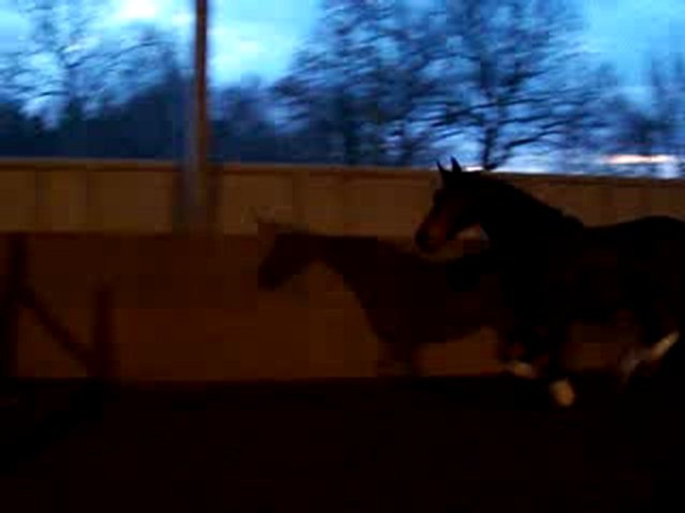 wes fev 2010 saut en liberté 2