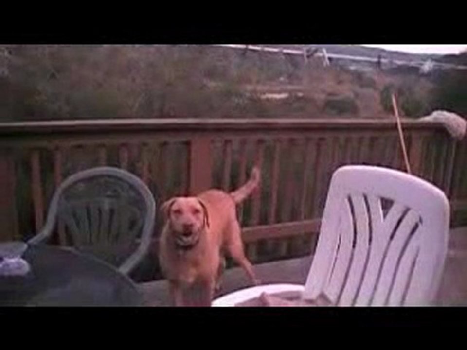 ETRANGE NUAGE USA 2010