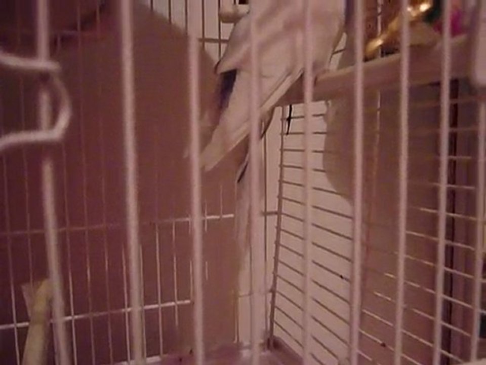 P1000164