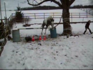 saut en liberté + balade