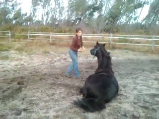 lutin se couche suite