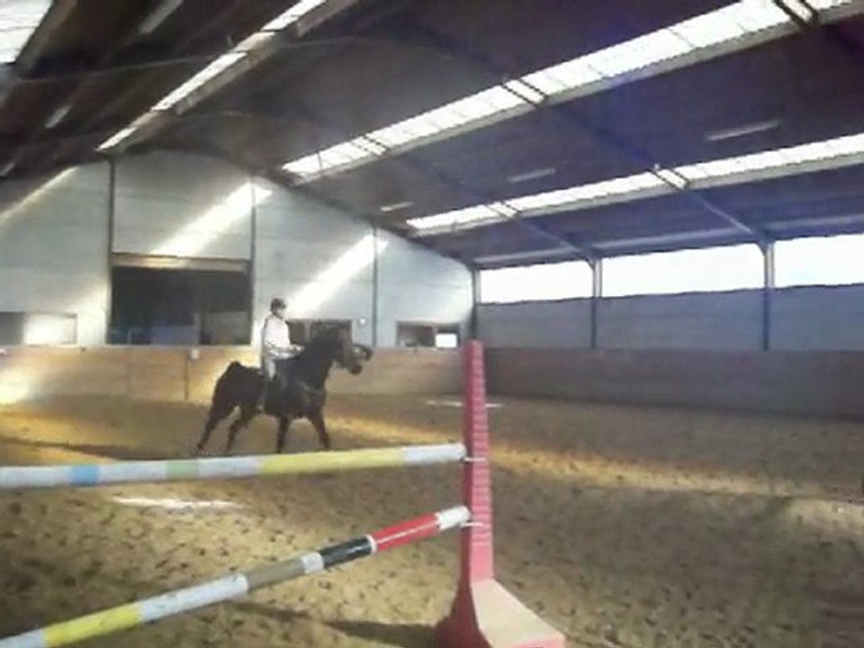 Obstacle du 13 janvier 2010 avec Odin