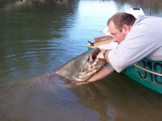 Silure Club Rhodanien : Diaporama du forum 7