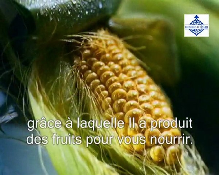 ceci est l'islam part 1