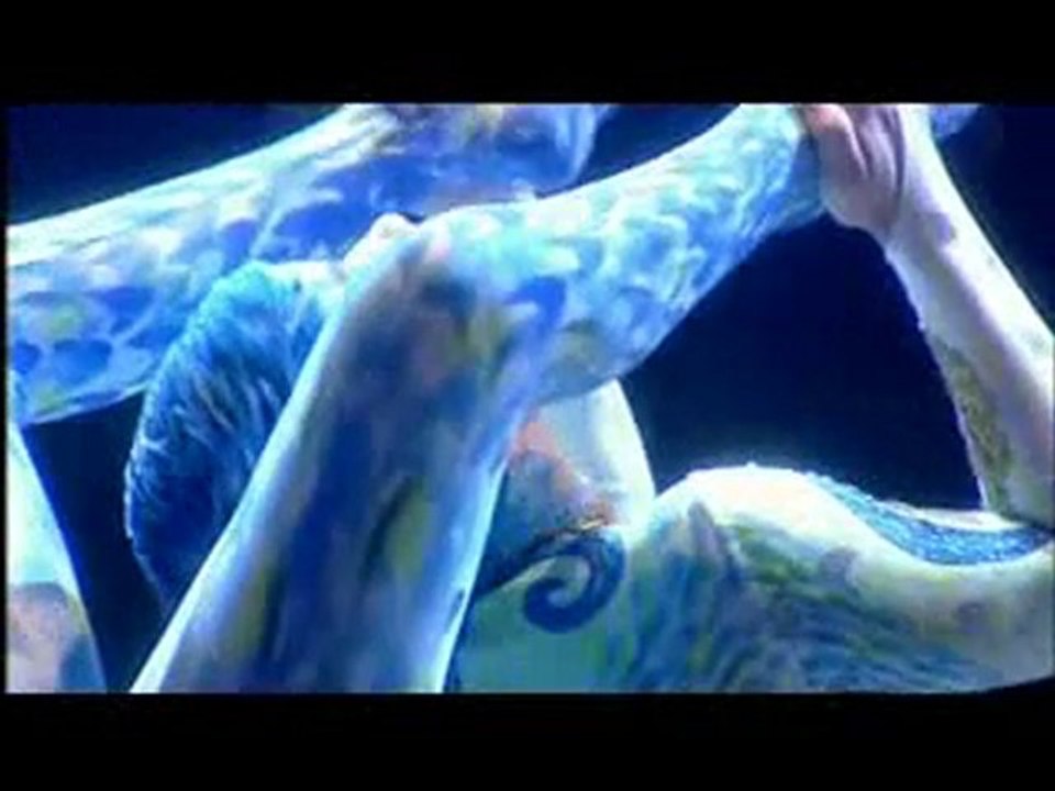 Contortion (Alegria) - Le Cirque du Soleil