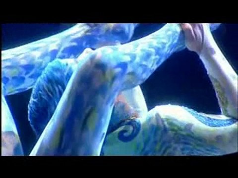 Contortion (Alegria) - Le Cirque du Soleil
