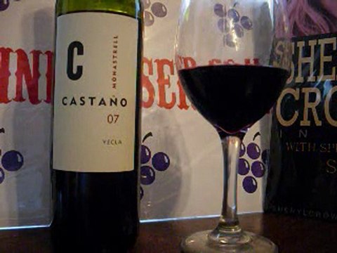 Spanish Wine Tasting Rating Castano Monastrell 07