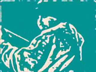 "The Most Evolved" Acoustic Spanish Guitar