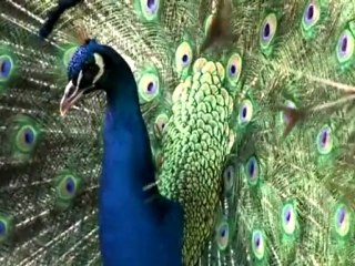 INTERCONTINENTAL WARSAW Around the Hotel