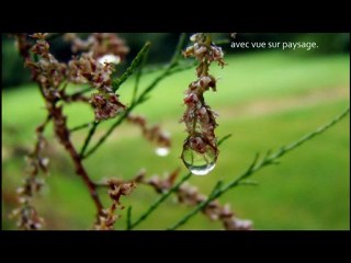 Une histoire en gouttes d'eau.