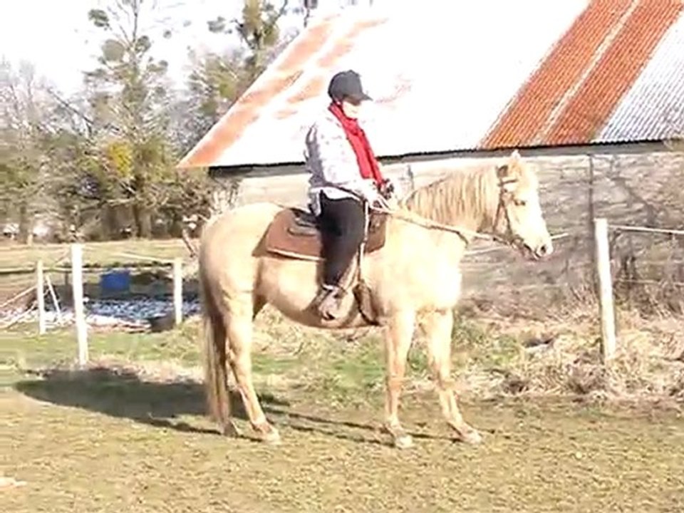 MOV08424