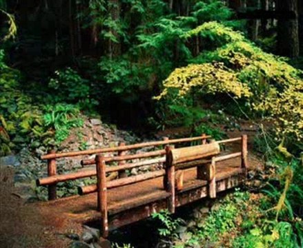 Mehmet Emin Ay - İmanlı Genç